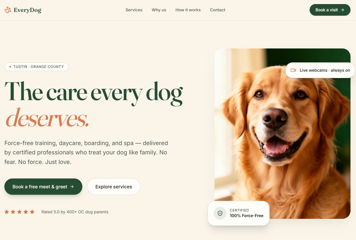 EveryDog homepage redesigned by QuickFlip Digital — editorial serif headline, real golden retriever photo, certification badge, clear booking CTA